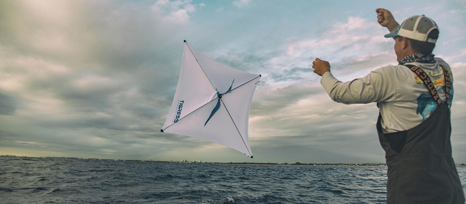 Specialty Lite Wind Kite